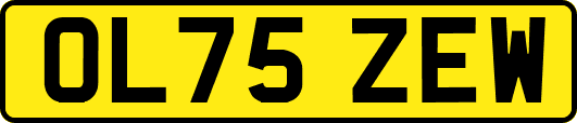 OL75ZEW