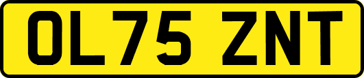 OL75ZNT