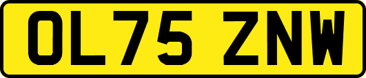 OL75ZNW