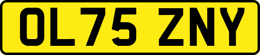 OL75ZNY