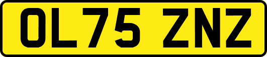 OL75ZNZ