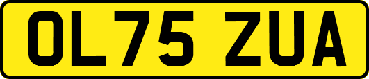 OL75ZUA