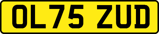 OL75ZUD