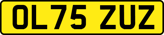 OL75ZUZ