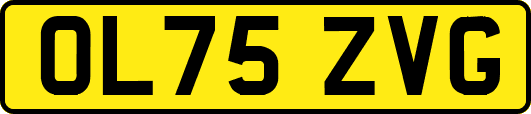OL75ZVG