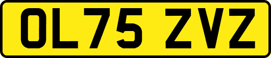 OL75ZVZ