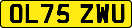 OL75ZWU