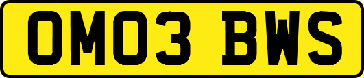 OM03BWS