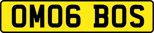 OM06BOS