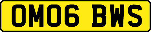 OM06BWS