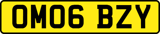 OM06BZY