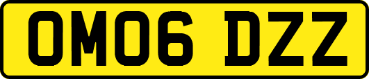 OM06DZZ