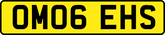 OM06EHS