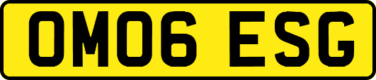 OM06ESG