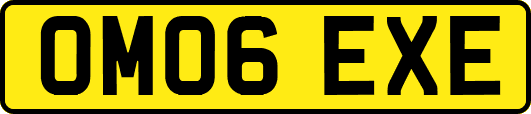 OM06EXE