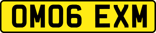 OM06EXM