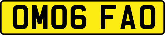 OM06FAO