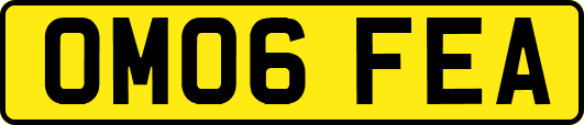 OM06FEA