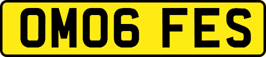 OM06FES