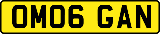 OM06GAN
