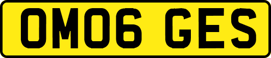 OM06GES