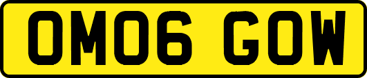 OM06GOW
