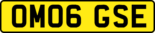 OM06GSE
