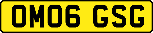 OM06GSG