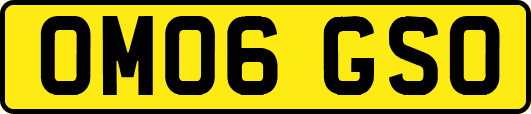 OM06GSO