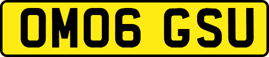 OM06GSU