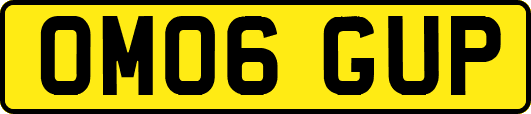 OM06GUP