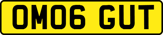 OM06GUT