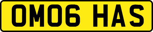 OM06HAS