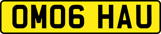 OM06HAU