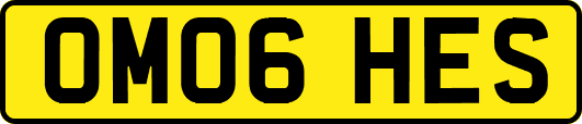 OM06HES