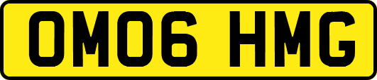 OM06HMG