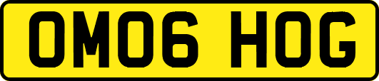 OM06HOG