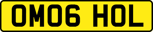 OM06HOL