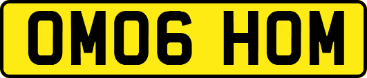 OM06HOM