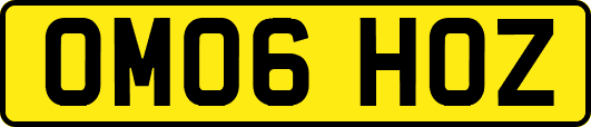 OM06HOZ