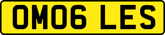 OM06LES