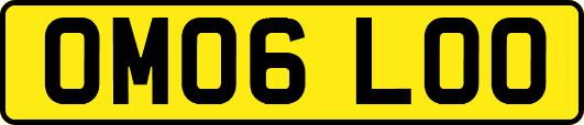 OM06LOO