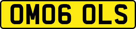 OM06OLS