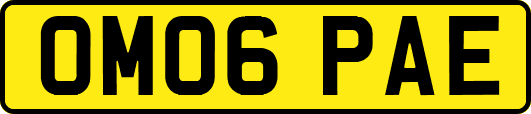 OM06PAE
