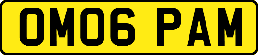OM06PAM