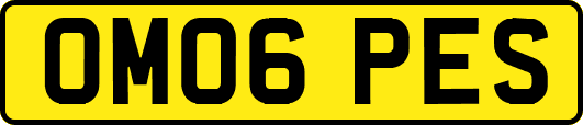OM06PES