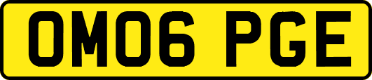 OM06PGE