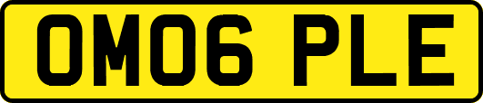 OM06PLE