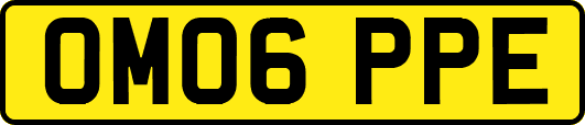 OM06PPE
