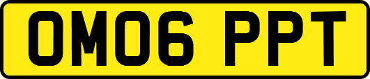 OM06PPT
